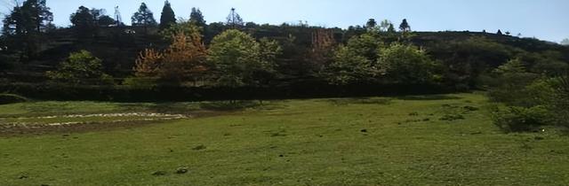 踏浪水西屯上营 寻踪彝志文化魂