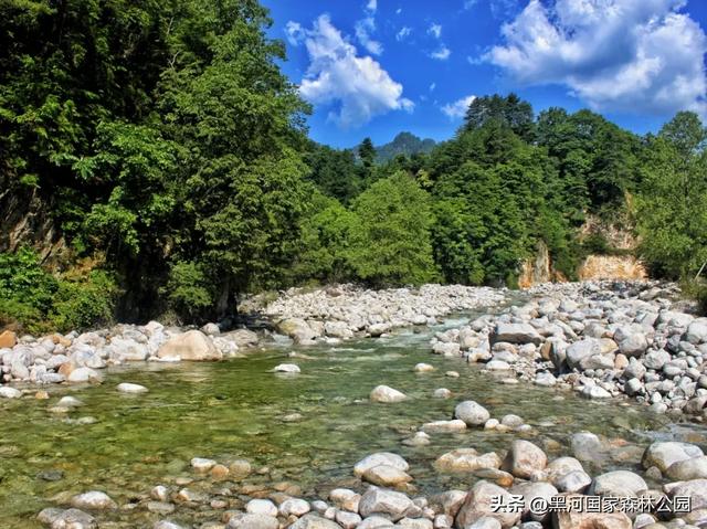 夏季避暑有“凉”方,黑河山水邀你共赴清凉盛宴!