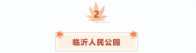 临沂「红杉」「红枫」浓度拉满，出片率100%