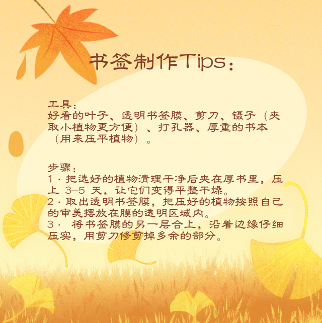 去公园，寻找城市的“书签”