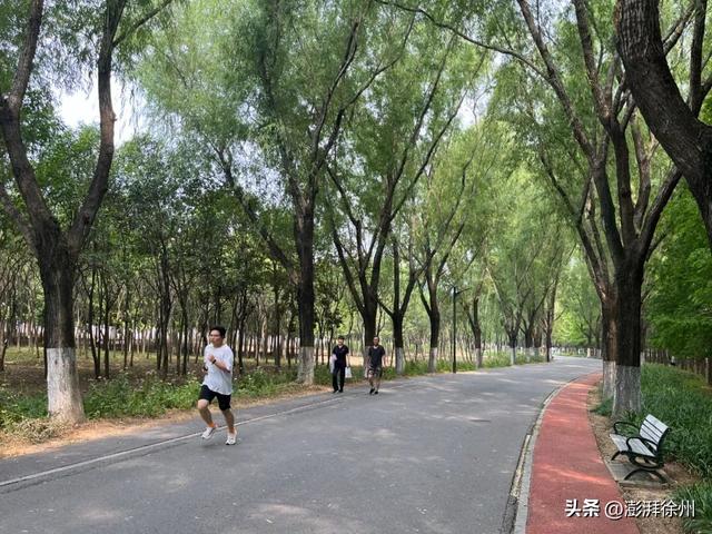邳州“绿色福利”