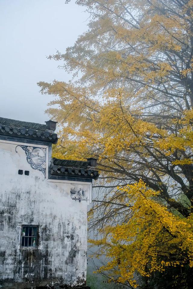 跟着赛事去旅行，沿着赛道解锁石台秘境，感受原生态山乡魅力