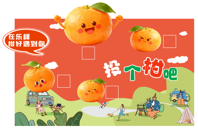 即将开幕！南安这里的芦柑，承包你的秋日甜蜜