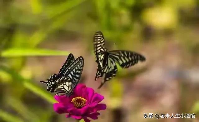 我搭伙过3个女人，发现女人过了55岁还找男人，无非就3个原因