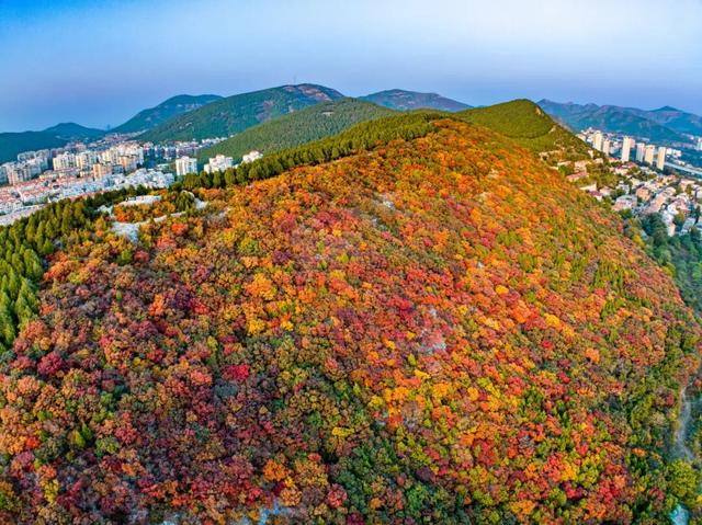 新华社聚焦+国家地理推荐！济南蝎子山“鸳鸯锅”秋景太惊艳了！