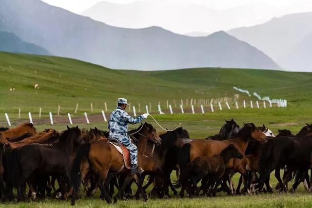 坝上深处的军马史诗---探密中央三号军马场/白宝（河北尚义）