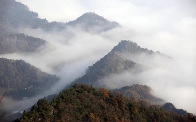 徽县大河店镇：层林尽染处 藏着最治愈的秋日时光