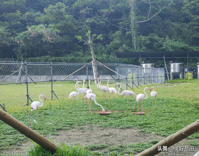想去！华大时空中心遛娃攻略来啦！