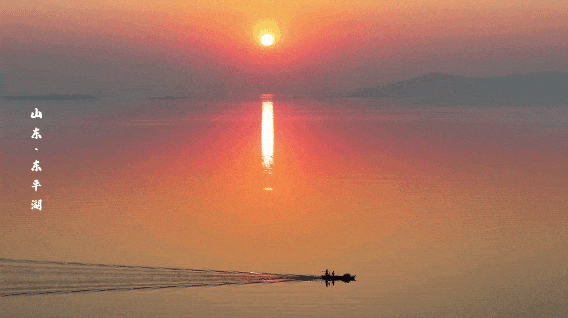泰安“天空之镜”大火！连片芦苇+落日余晖 美到尖叫