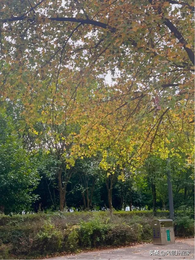 南昌的晚秋，风景美如画