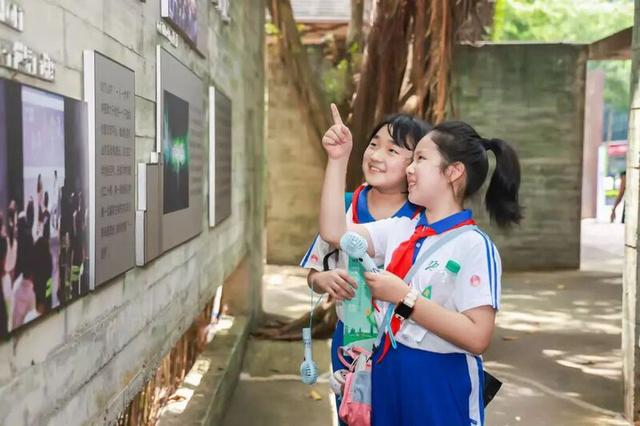 深圳人深情表白：“因为一条路，爱上一座城！”