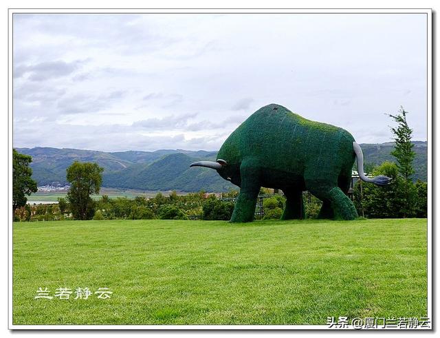 云南弥勒：太平湖森林公园的大地艺术作品