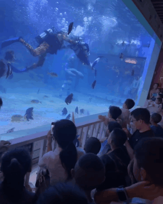 奥特曼在海洋馆大战怪兽？网友：果然一代人有一代人的海洋馆