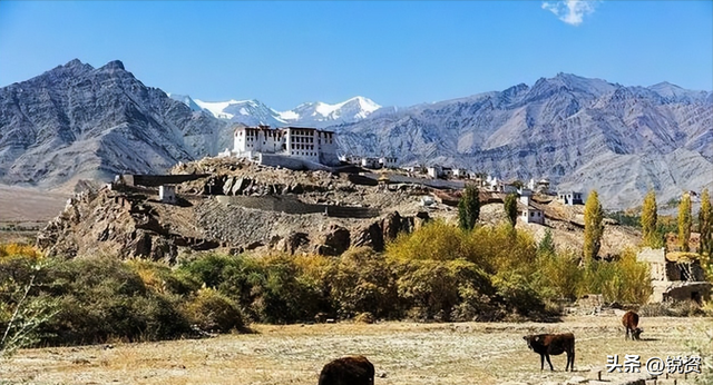 巴基斯坦一夜变天！总统总理双双让步	，33年的军政府阴影重现？