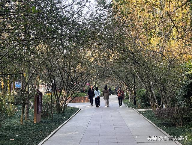 成都被私藏的彩林公园，流金溢彩，充满老城烟火气，地铁公交直达