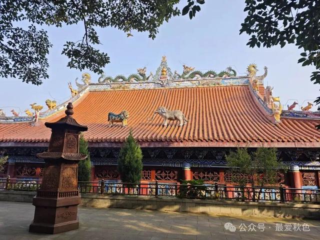 为了一碗羊肉汤，去了简阳