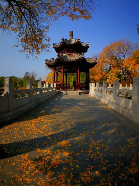 不藏了，推荐天津5个秋色仙境，最后一个惊艳了百年时光！