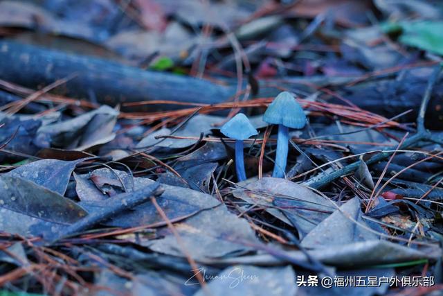 福州户外圣地——白云洞