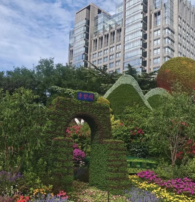 花坛见证：和平与记忆在大地上绽放