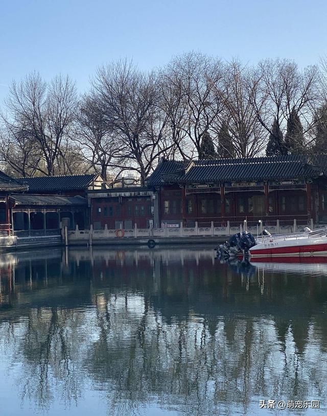 紫竹院冬日偶遇退休教授，一句话让我明白生活9个层次