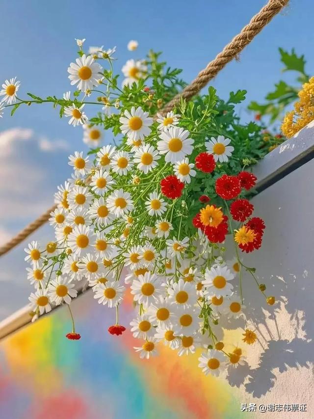 十一月第五期（四天）点评