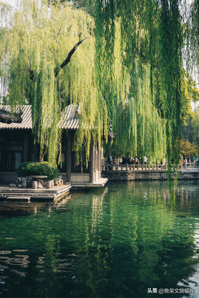 泉城漫记：在时光的褶皱里，打捞济南的清与静