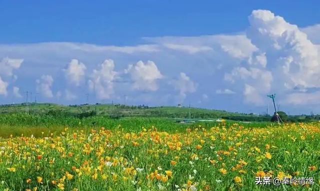 两性关系，夫妻越是喜欢分房睡，越是说明这三点。一定要重视！