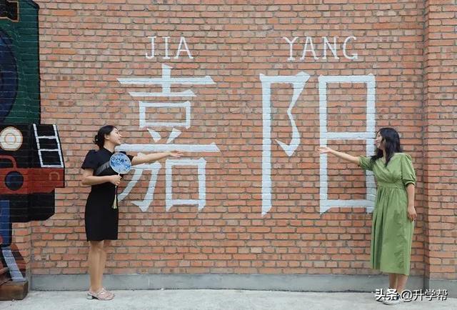 惊艳到了！乐山嘉阳千日红花海原图直出的美！