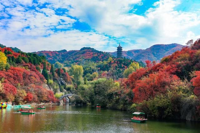 周末出发！济南这条自驾线路串起古建、名泉、红叶，美极了！