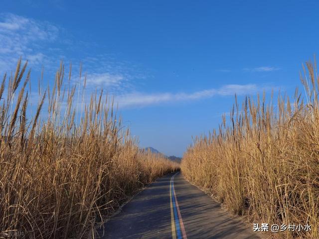 “冷不冷，就看霜降”，今日霜降，今年冬天会很冷吗？