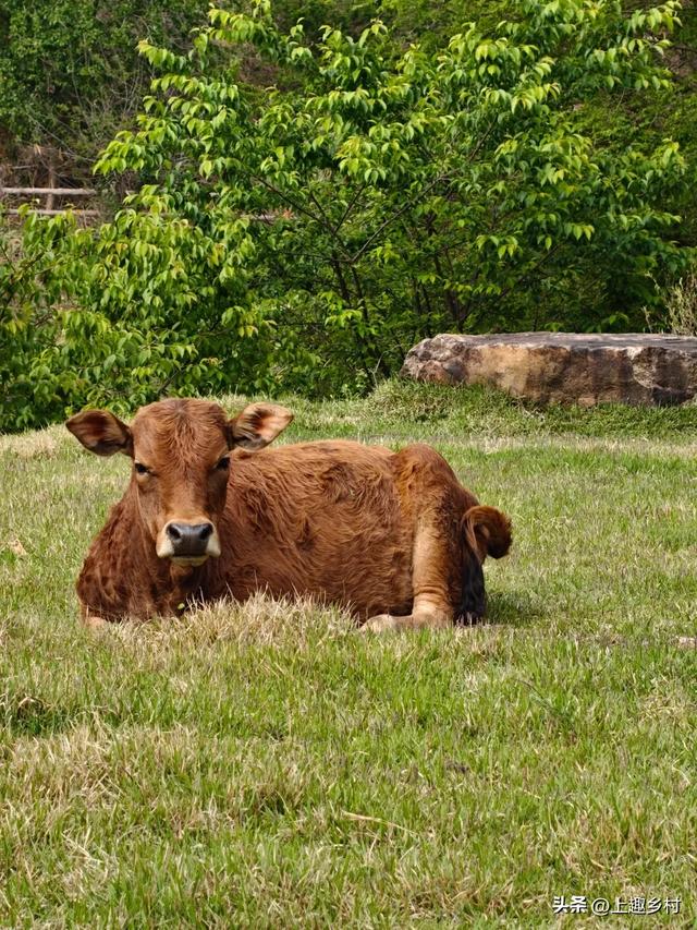 五一“逃跑”计划:去乡村,见天地!