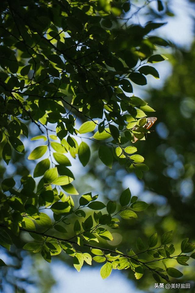 叔叔阿姨的《山海松弛秘籍》，我学了！