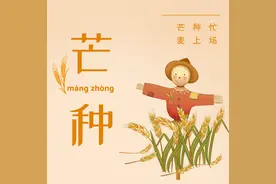 二十四节气·芒种最全介绍：意思、时间、习俗、禁忌图片