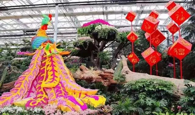 好客临沂放大招！“天赋一‘饼’”争霸赛主场开秀，景区+酒店优惠多到爆，等你来嗨！