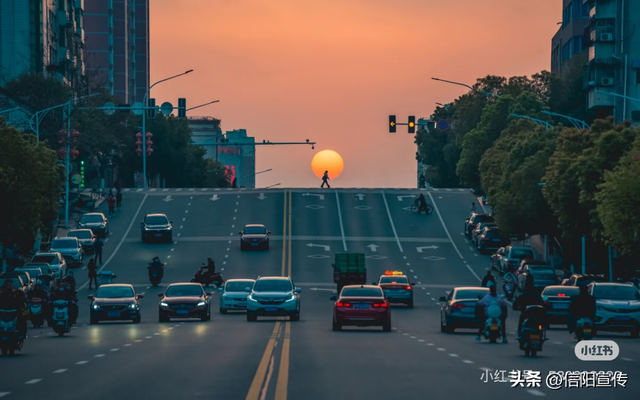 辞家千里，最念是信阳