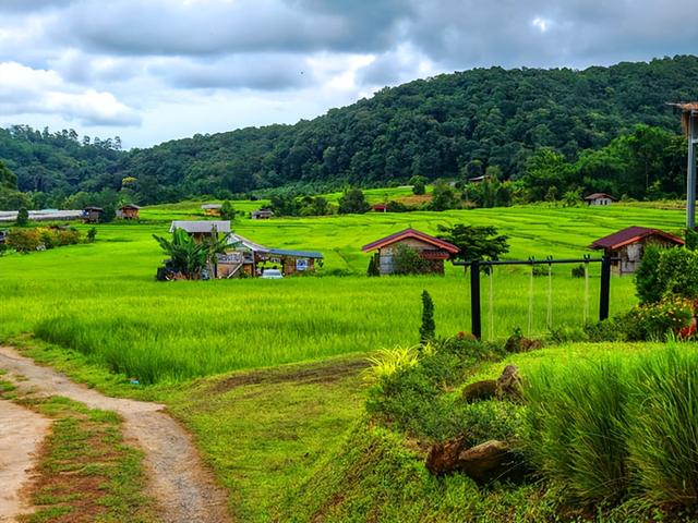 泰国旅游：清迈因他农山一日行散记（图）