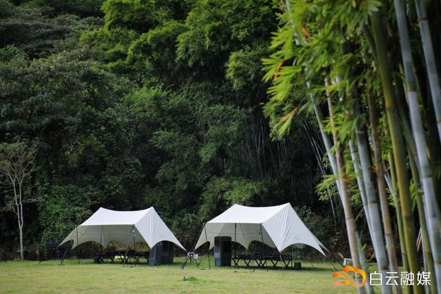 以“乡村+营地”激发近郊文旅活力！太和镇头陂村发展多元业态营地经济