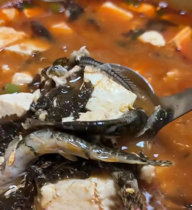 雪假来安图，雾凇、粉雪、暖炕，浪漫到失语！