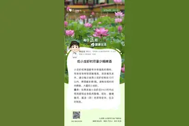 【每日“医”招】（67）：吃小龙虾时尽量少喝啤酒图片