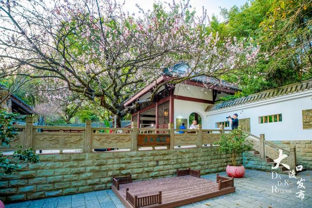 春天来了,你也该来一趟大渡口啦!