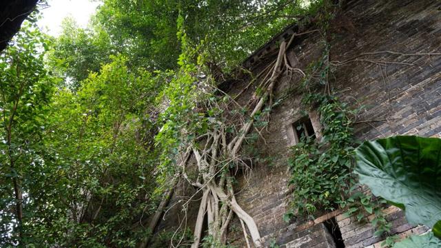 探秘温贯炮楼：深藏于高要乡间的古代军事堡垒