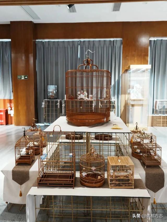 成都这一场馆焕新归来！免费开放→