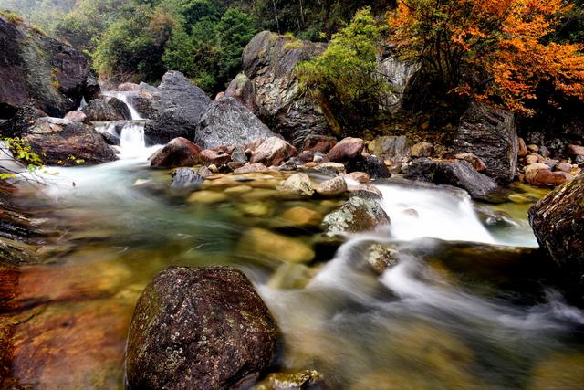 黄山翡翠谷秋韵，溪水映红叶，藏在山水间，一步一景皆是诗情画意