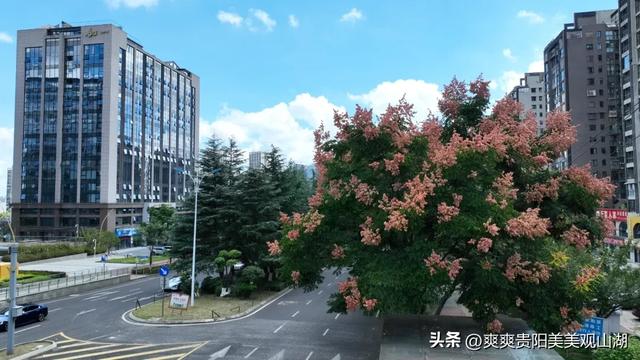 我说“秋天那么美” 栾树:是的!