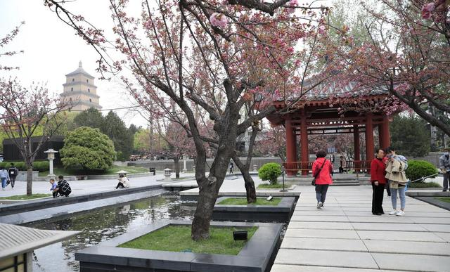 全球独一无二！西安凭什么被称为城中花都