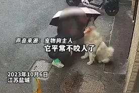 血的教训！ 女子逗狗遭扑咬满脸是血 狗主人回应:该赔肯定会赔图片