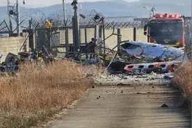 死亡人数升至62人！韩方推测坠机事故原因→图片