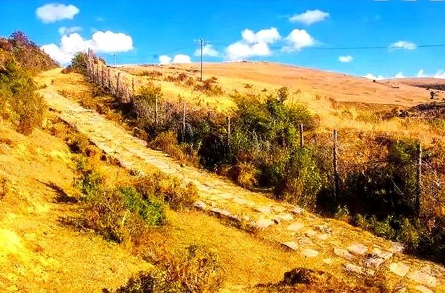 高山草甸在腾冲