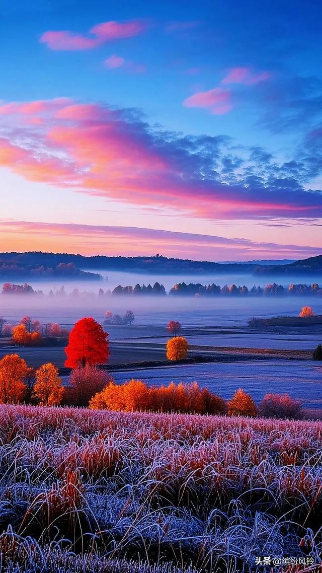 明日霜降，一朝秋暮，遍地霜华