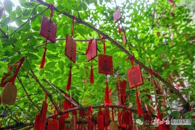 崇信：秋染龙泉寺